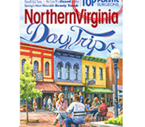 Northern Virginia Day Trip